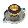 Radiator pressure cap