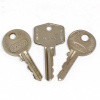 Replacement lock/ignition key (PAIR)