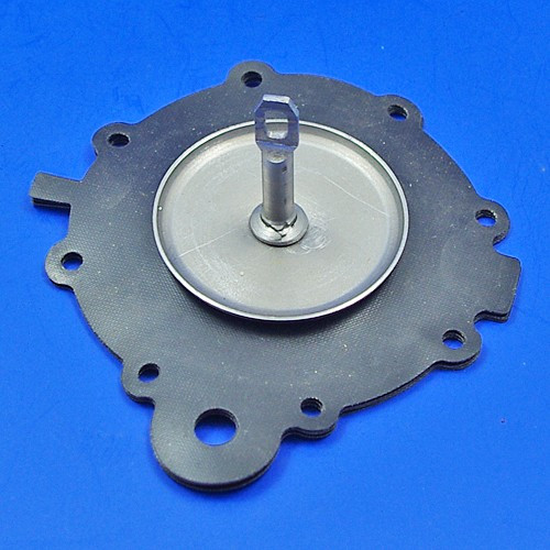 Diaphragm Gasket