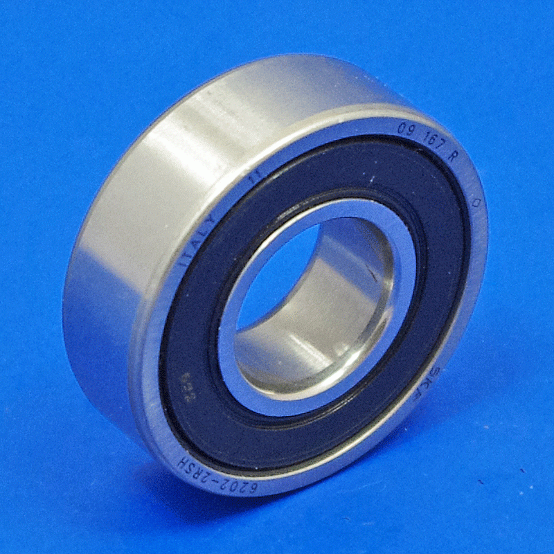 Dynamo bearing