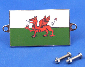 Enamel nationality flag badge / plaque Wales