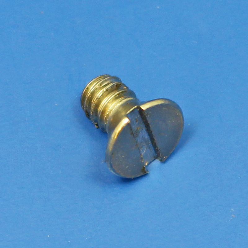 Fuel Pump Screw - Flat