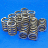 Valve spring 6cyl