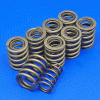 Performance valve spring set