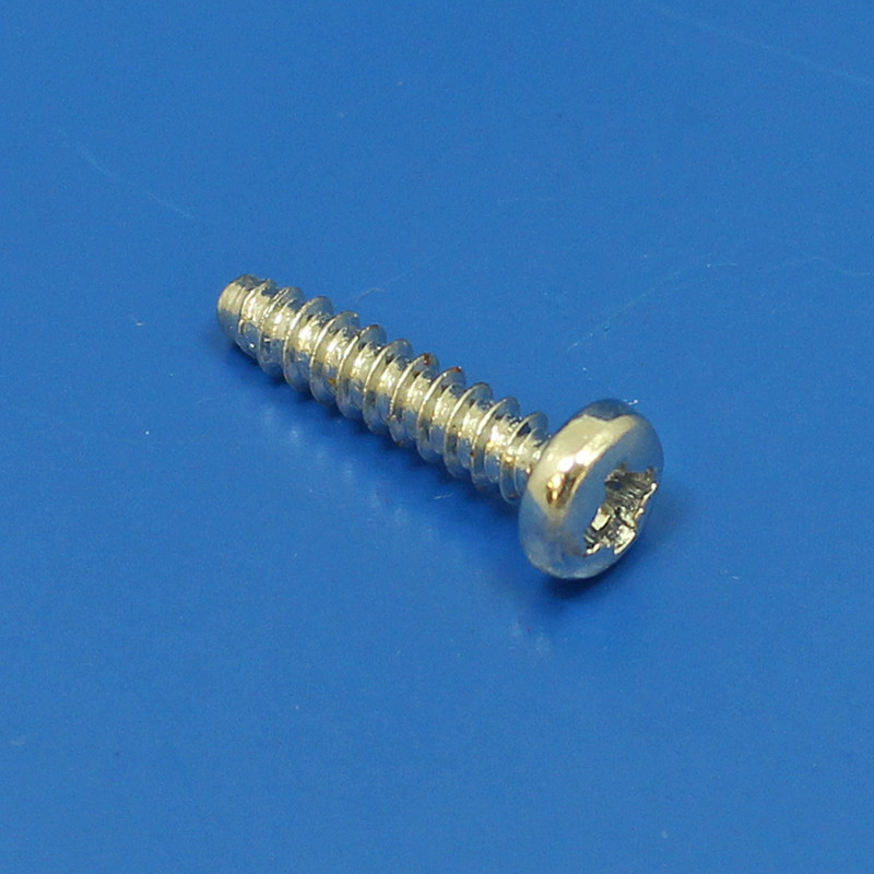 Fuel Pump Screw - self tapping