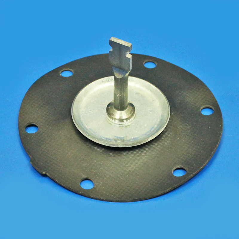 Diaphragm Assembly